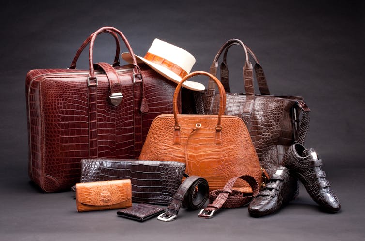 crocodile leather products, handbags and shoes.