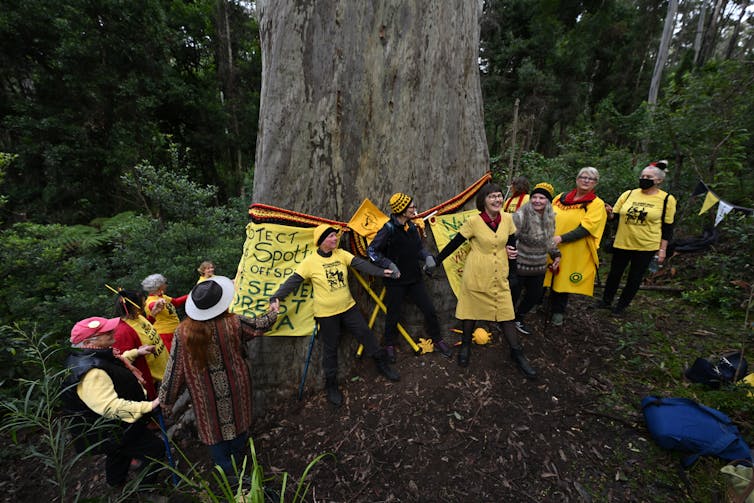women dressed in yellow gather around tree