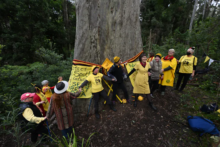 women dressed in yellow gather around tree