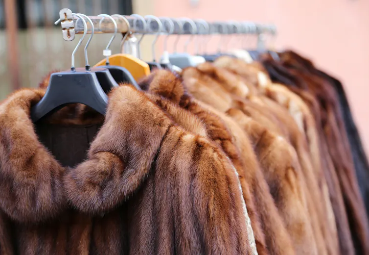 fur coats on a rack.