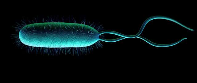 Los marcianos con los que soñamos