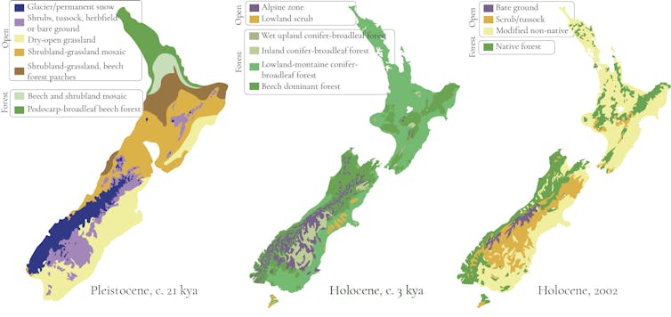 A graphic comparing vegetation cover 21,000 years ago, 3,000 years ago, and today