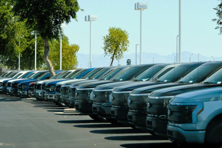 A row of new electric trucks parked at a Ford vehicle dealership in Arizona.