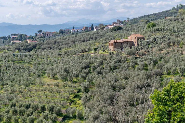 Anchiano e a paisagem circundante