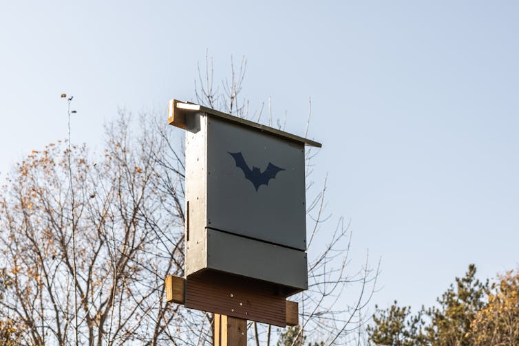 A box on a post with a bat painted on it.