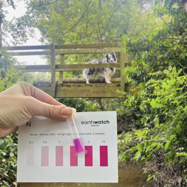 river with wooden bridge, hand holds vial of pink liquid and colour chart for testing water quality.