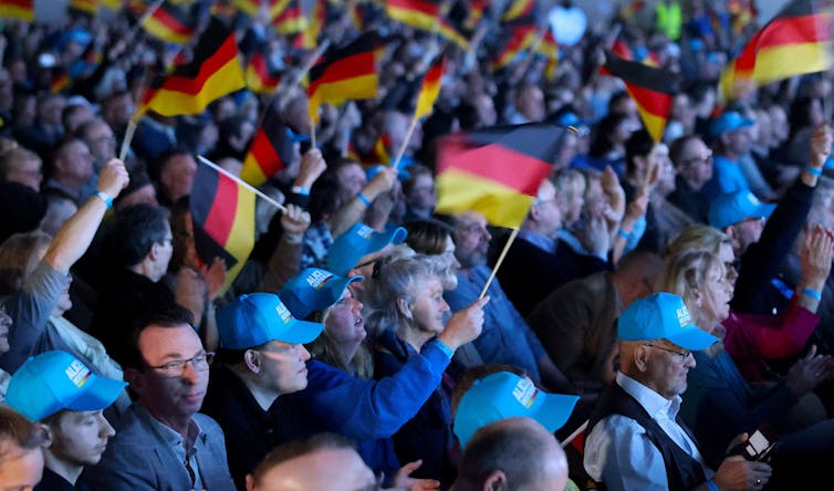 Flag-waving supporters of the AfD.