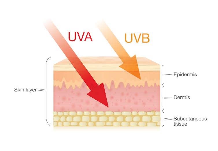 Graphic showing UVA and UVB penetrating skin