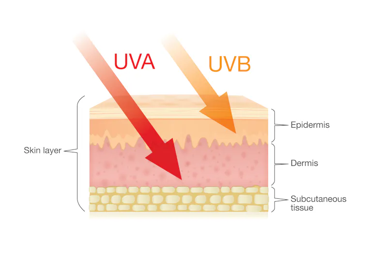 Graphic showing UVA and UVB penetrating skin