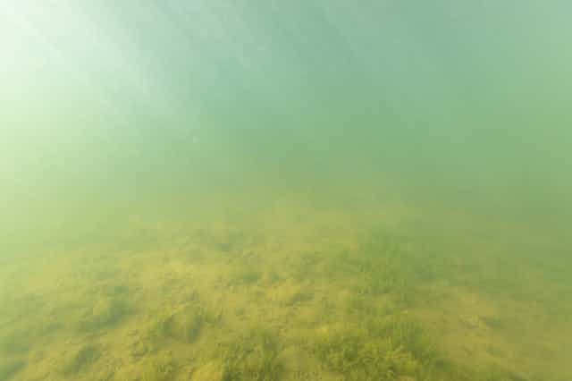 Vue du fonds d'un lac