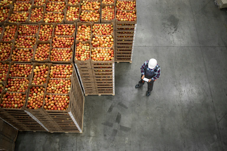 worker standing by apple boxes
