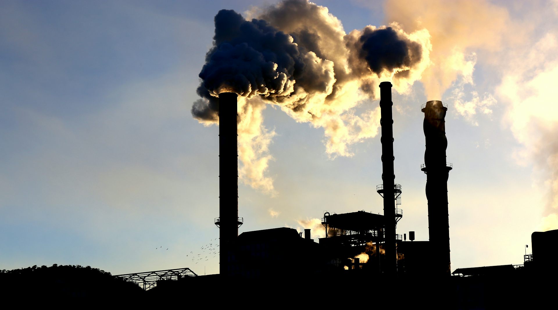 steam billowing from stacks
