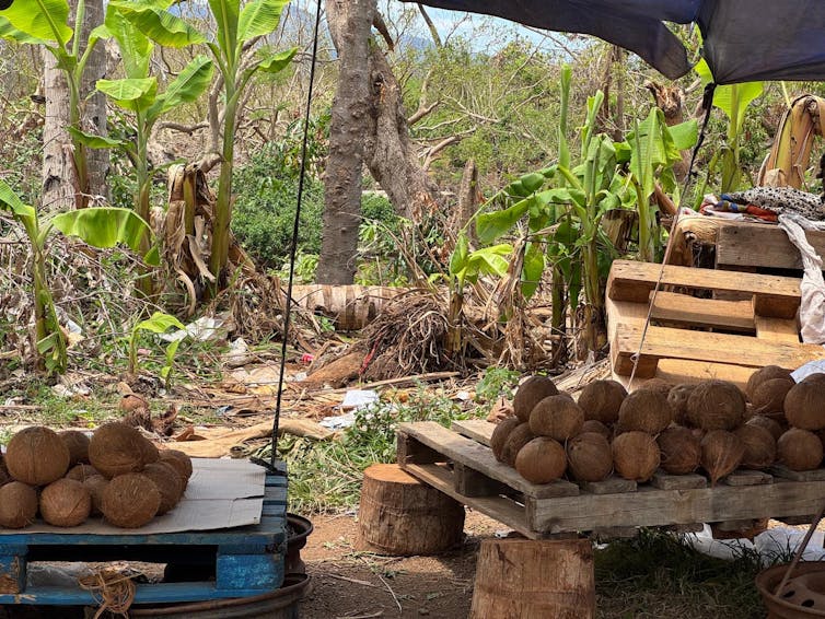 Maiotte diary: Two months after Chido, the misery of chamber migrants stigmatizes a political elegance 1 file 20250204 15 urzgzk.jpg?ixlib=rb 4.1