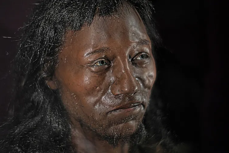 Reconstructed head of the Cheddar Man based on the shape of his skull and DNA analysis, shown at the Natural History Museum in London.