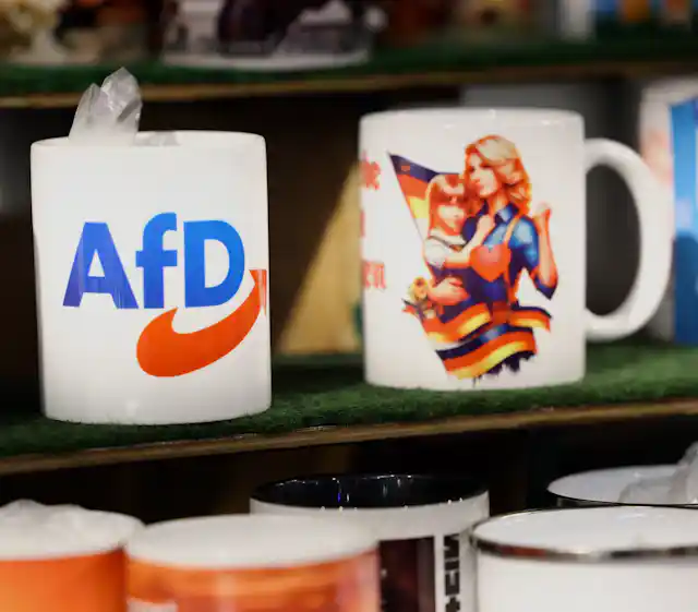 Where support for Germany’s far-right AFD is growing and why – podcast