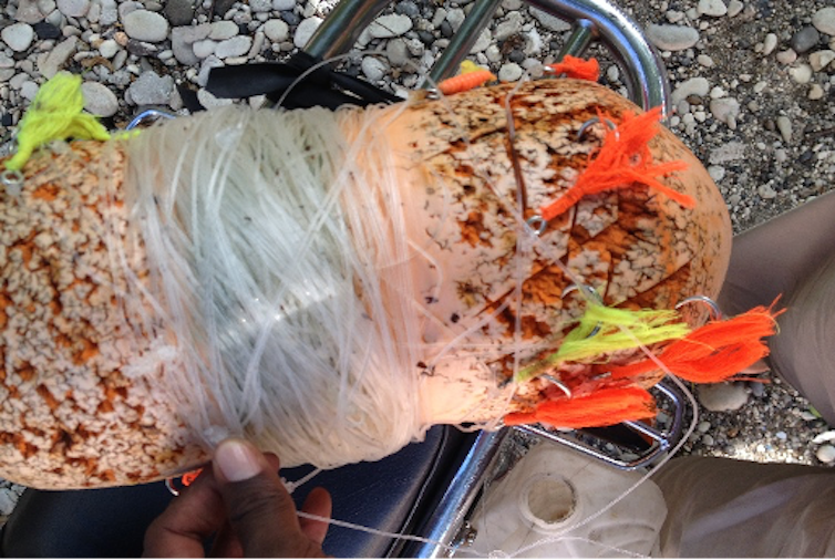 Haiti Ribari: Everlasting ingenuity within the face of social and local weather constraints 6 file 20250204 17 9bwtpi.png?ixlib=rb 4.1