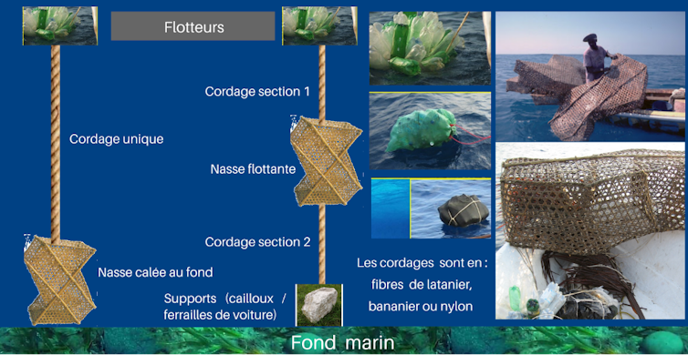 Haiti Ribari: Everlasting ingenuity within the face of social and local weather constraints 7 file 20250204 15 5jxsjx.png?ixlib=rb 4.1