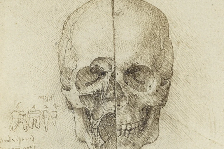 Esboço de crânio de Da Vinci, 1489