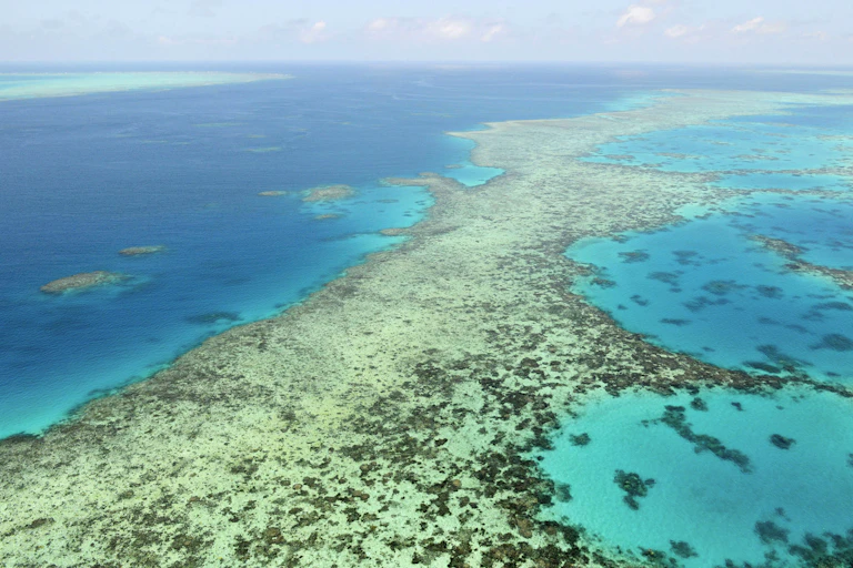 Aerial photo of coral reef