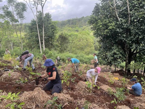 Habitat restoration is a long-haul job. Here are 3 groups that have endured