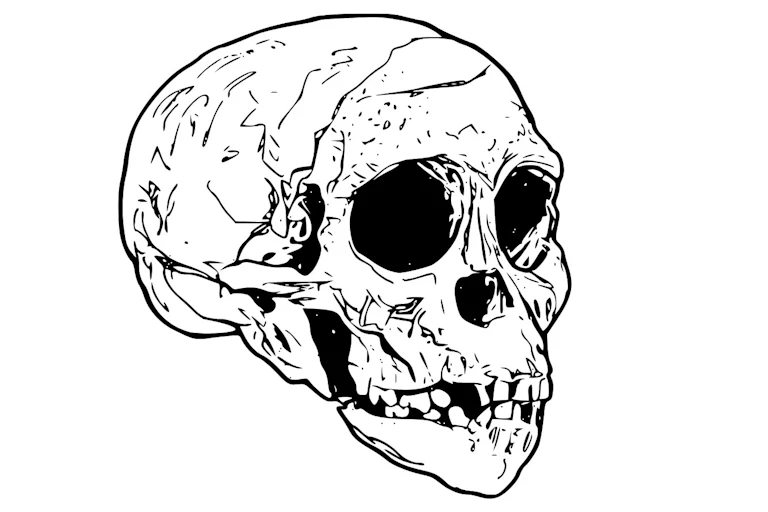 A black and white illustration of a skull with deep eye sockets and an incomplete set of teeth