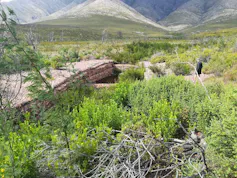 Wetland restoration through removal of alien invasive species. Packed rock baskets (gabions) slow down water flow, reduce erosion and support wetland restoration.