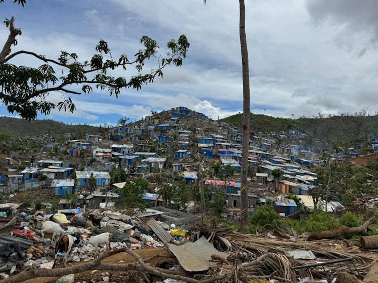 Malootta Diary: Earlier than, subsequent day and two months after Chido Chido 2 file 20250205 15 udgvxk.jpg?ixlib=rb 4.1