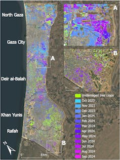 Gaza: we analysed a yr of satellite tv for pc photographs to map the dimensions of agricultural destruction 1 Annotated map of Gaza