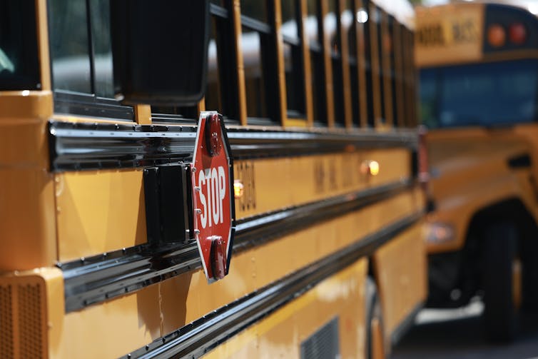 Two yellow school buses are seen close up, and one has a red stop sign attached on to it.