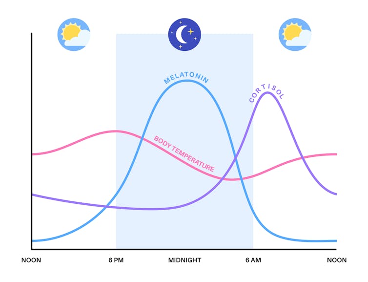 Gráfico lineal de la temperatura corporal, los niveles de melatonina y cortisol, con picos a primera hora de la tarde y a primera hora de la mañana, a medianoche y por la mañana, respectivamente.