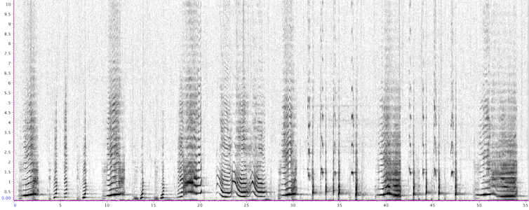 A chart showing the different frequencies of sound in whale song.