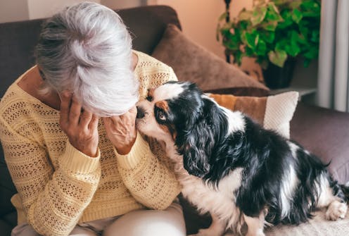 how to cope with the exhaustion and stress of raising a puppy