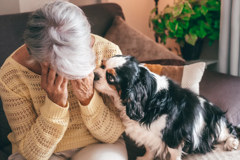 A woman looks sad, puts her head in her hands while sitting next to her puppy