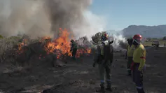 Rangers watch a fire