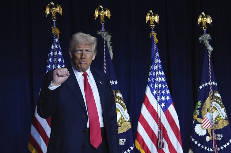 A rotund man with fluffy white-blond hair and an orange-tinged facial tan pouts and raises his fist while staning in front of a row of flags.