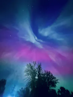 Bright colors visible across the night sky, with a tree silhouetted in the foreground.
