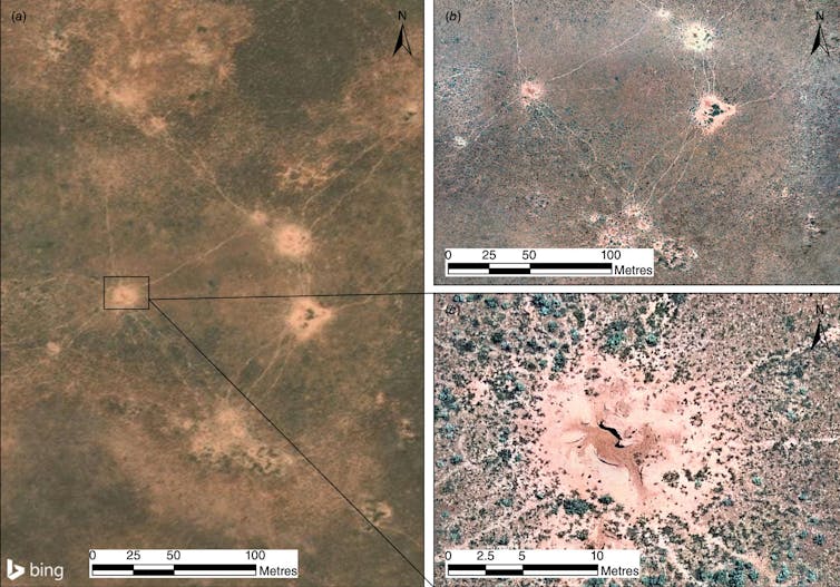 Three aerial photos showing disturbed earth amid vegetation.