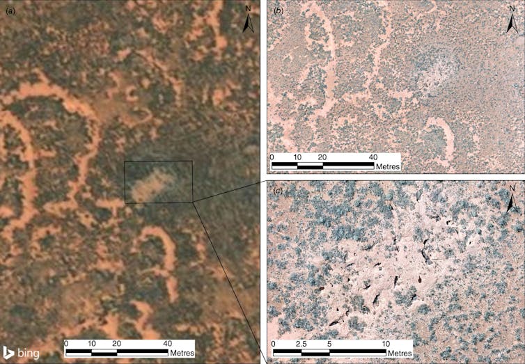 Three aerial photos showing disturbed earth amid vegetation.