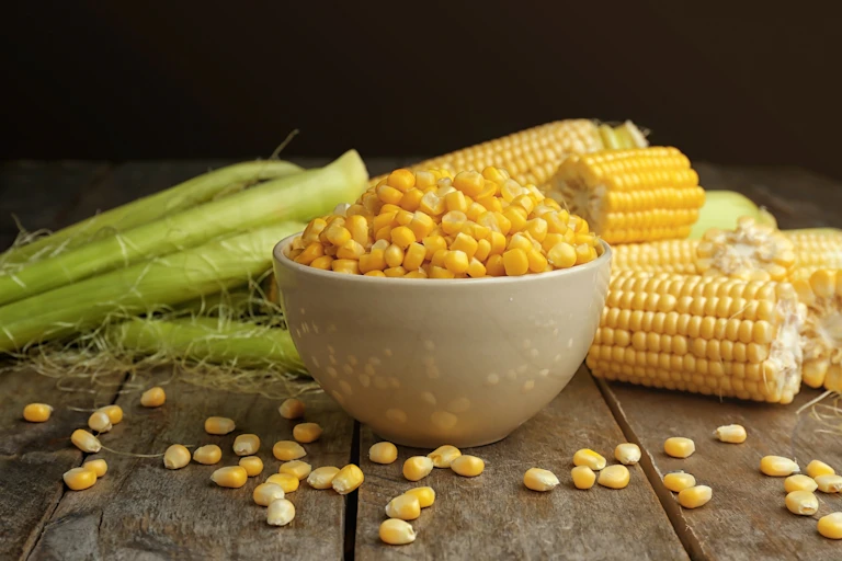 A bowl of corn and corn cobs.