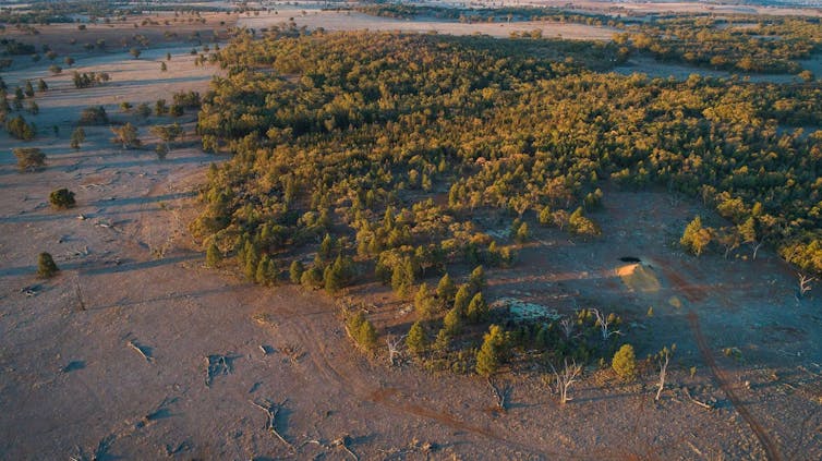 Aerial photo of a treed landscape with a small earthmoving activity in the foreground.