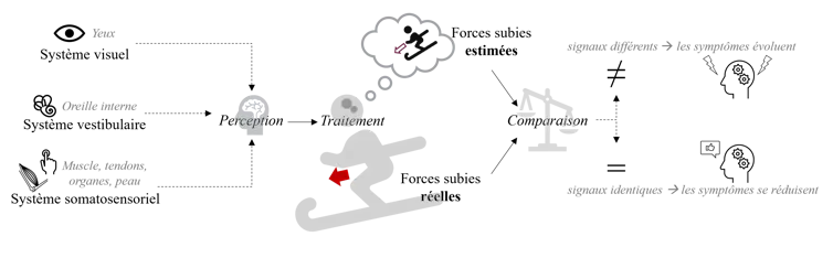 Sxhéma montrant les mécanismes de perception responsables de l’apparition du mal de ski dans le cas selon la théorie de l’inadéquation sensorielle.