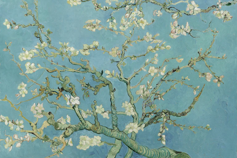 Vincent van Gogh's Almond blossom