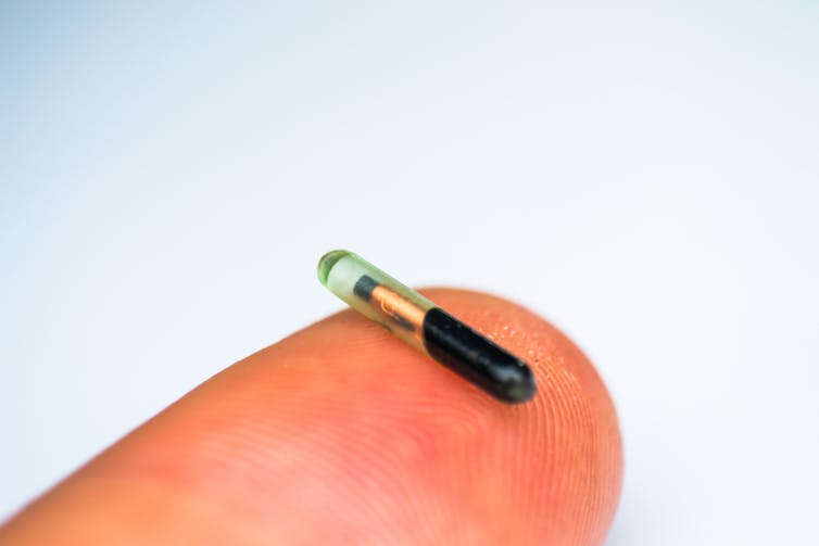 A tiny capsule, the size of a grain of rice, held on a fingertip.