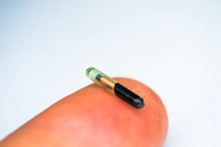 A tiny capsule, the size of a grain of rice, held on a fingertip.
