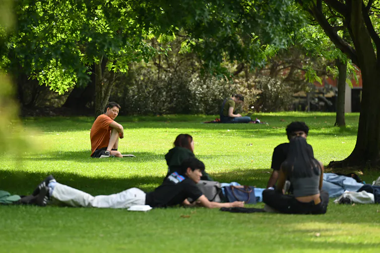Young people sit on the grass under a tree at a university campus.