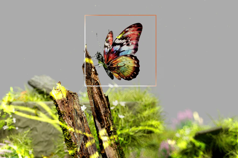 Photo of a butterfly settling on a stick. The butterfly is highlighted by a thin square.