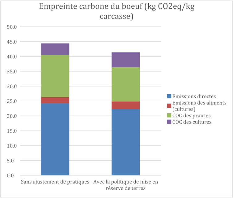 Carbon carbon footprint: If the beef is taxed? 1 file 20250211 17 ob174t.png?ixlib=rb 4.1
