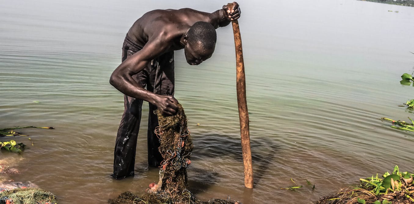Lake Victoria Is Turning Green – the Deadly Bacteria Behind It Lake Victoria Is Turning Green – the Deadly Bacteria Behind It