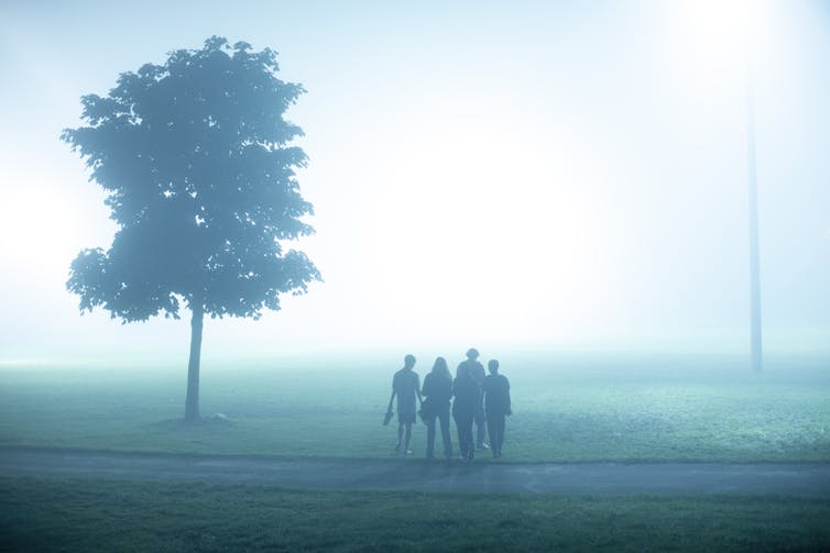 Teenagers walk next to a tree in the fog.