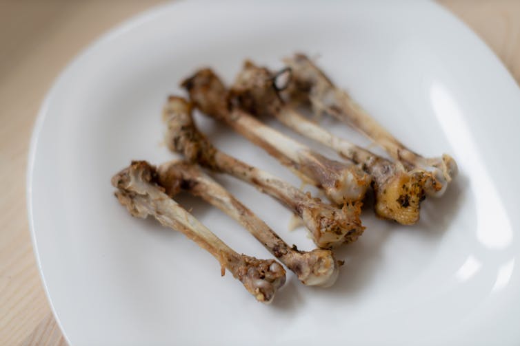 chicken bones on a plate